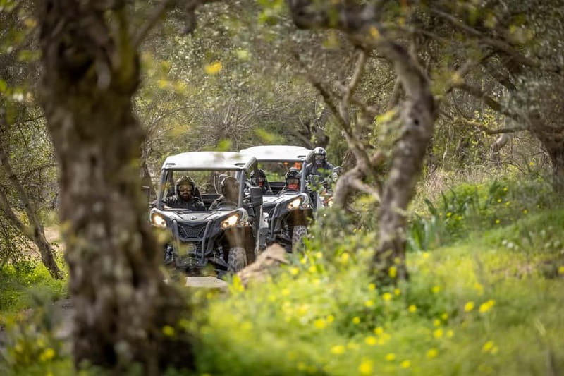 Porto: Dirt and Dust Tour by Oporto Buggy - Key points to know before you book