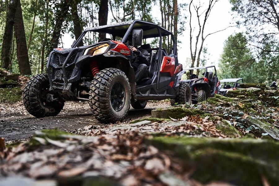Porto: Dirt and Dust Tour by Oporto Buggy - Who will enjoy this most