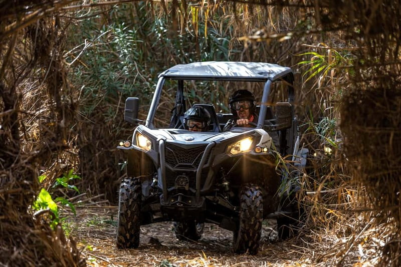 Porto: Dirt and Dust Tour by Oporto Buggy - Why this buggy ride is different from a city tour