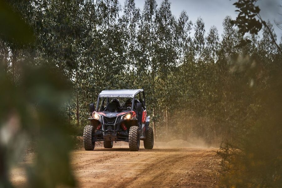 Porto: Dirt and Dust Tour by Oporto Buggy - The Rally de Portugal connection
