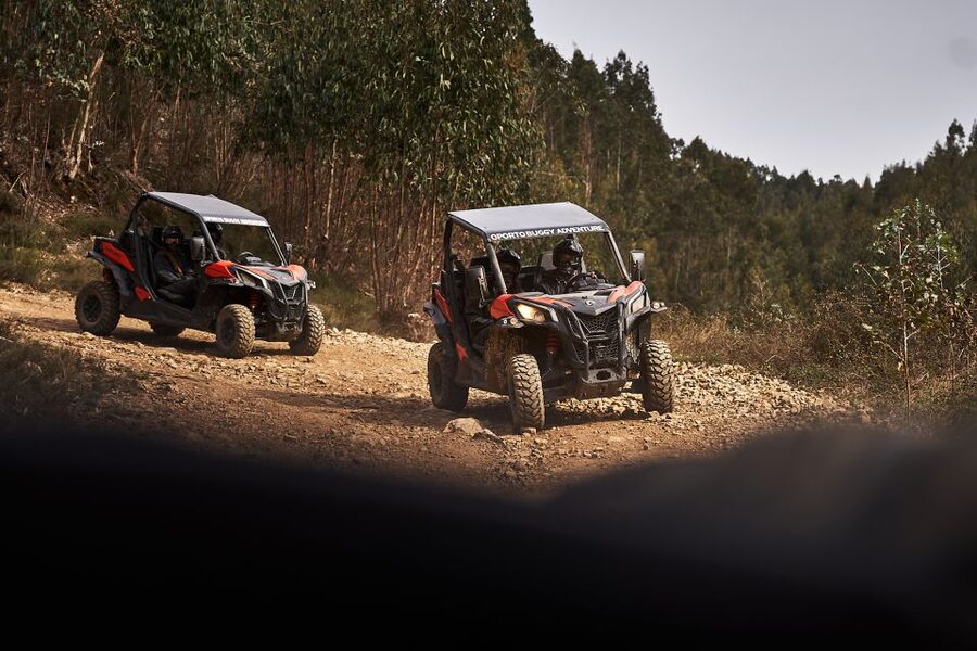 Porto: Dirt and Dust Tour by Oporto Buggy - Trails in the Parque Natural das Serras do Porto