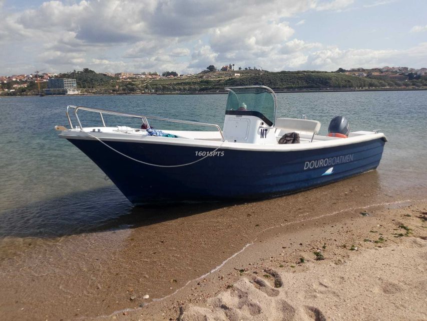 Porto: Douro River Cruise w/ Portuguese Wines & Local Host - Practical points before you book