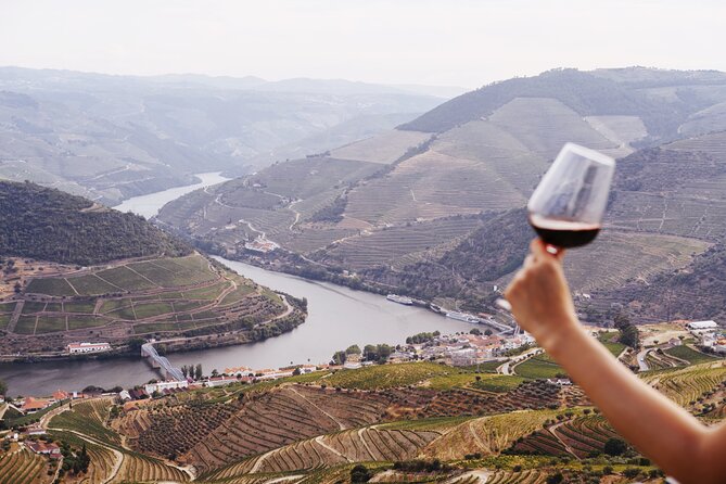 Porto: Douro Valley, 2 Wine Regions, Sommelier, Boat Trip & Lunch - A quiet hour on the Douro River