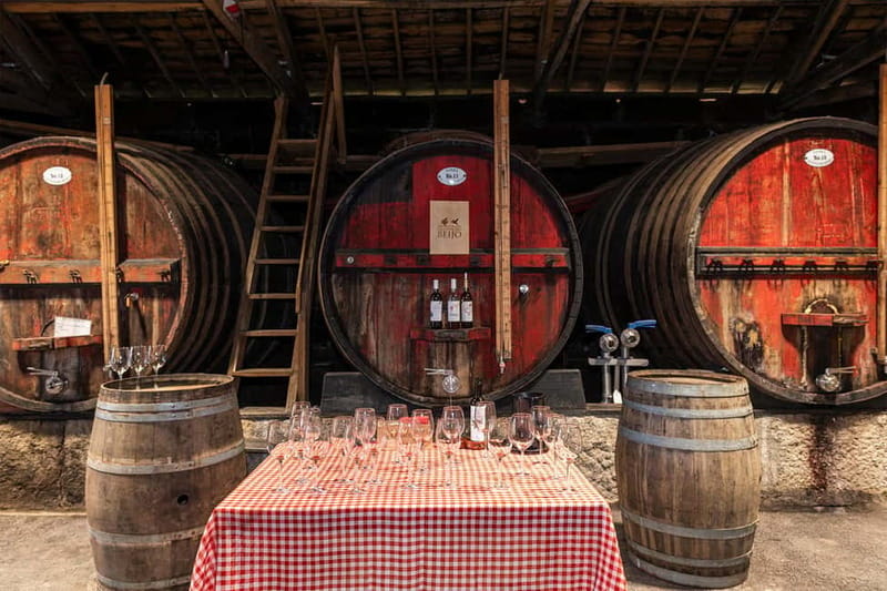 Porto: Douro Valley, 2 Wineries, Lunch & Private Boat Trip - Who should book this experience?