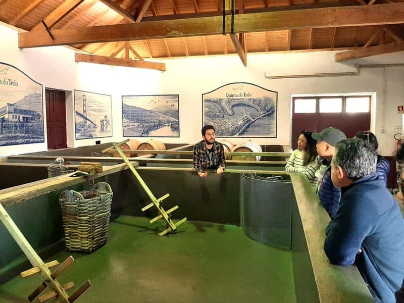 Porto: Douro Valley, 2 Wineries, Lunch & Private Boat Trip - The road from Porto to the valley