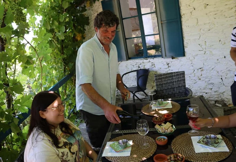 Porto: DOURO VALLEY and AMARANTE City Half-day Tour - Key points at a glance