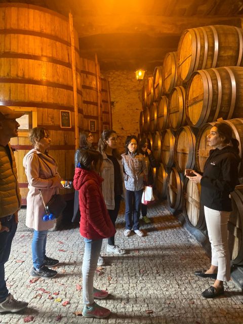 Porto: DOURO VALLEY and AMARANTE City Half-day Tour - Pinhão and the family winery