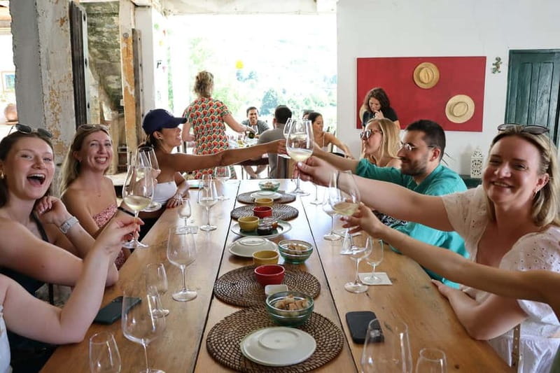 Porto: DOURO VALLEY and AMARANTE City Half-day Tour - What the price includes at $81
