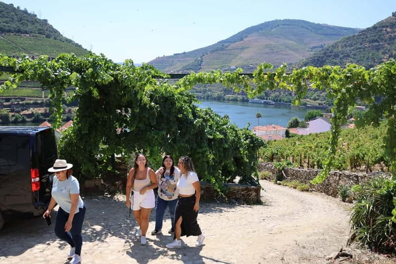 Porto: DOURO VALLEY and AMARANTE City Half-day Tour - Who will enjoy this tour most?