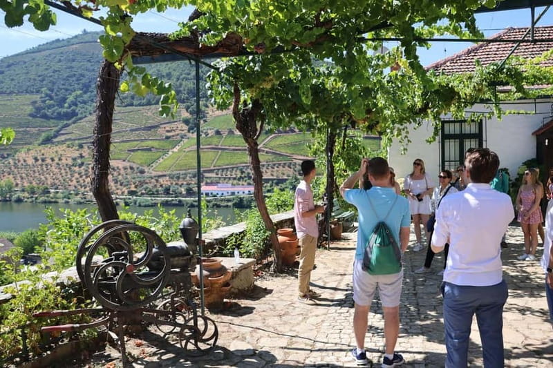 Porto: DOURO VALLEY and AMARANTE City Half-day Tour - Leaving Porto in a small van