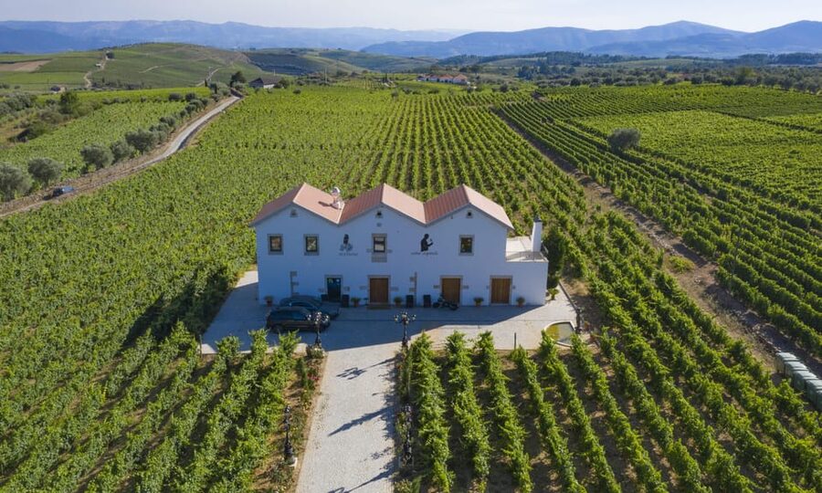 Porto: Douro Valley Day Trip with Lunch and Favaios Village - Régua and the first Douro Valley views