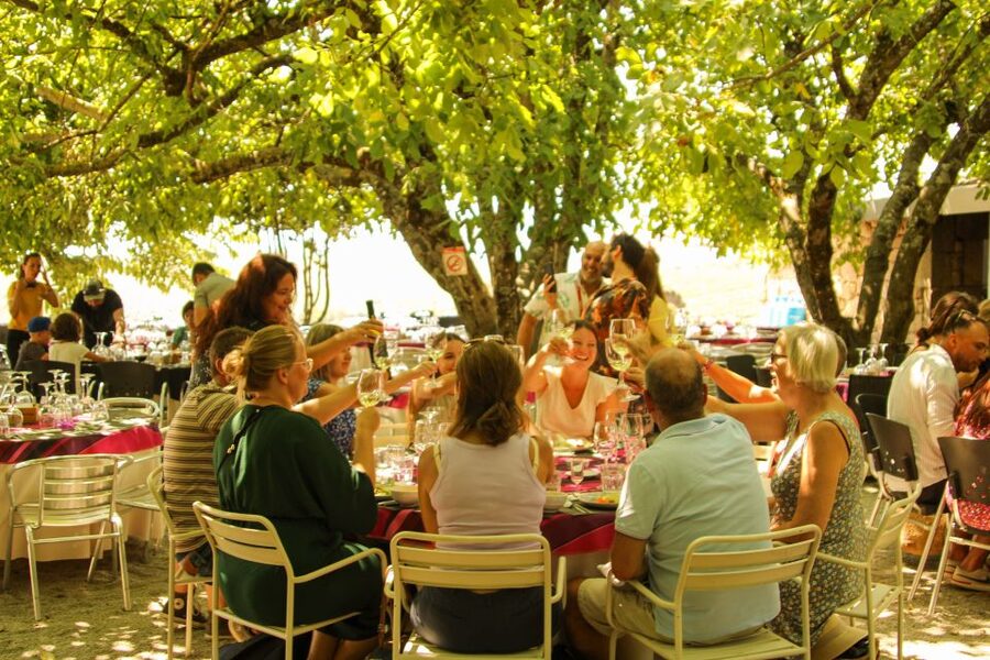 Porto: Douro Valley History & Wine Tour with Cruise & Lunch - Is $104 good value?