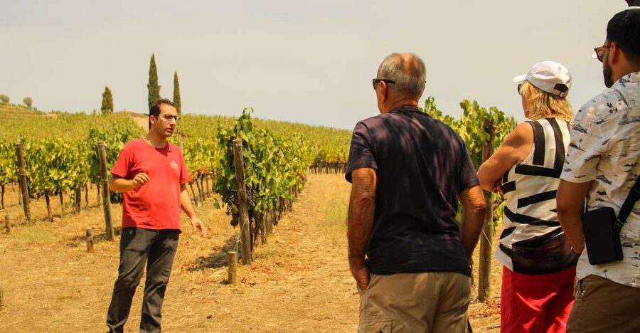 Porto: Douro Valley History & Wine Tour with Cruise & Lunch - Why this makes sense from Porto