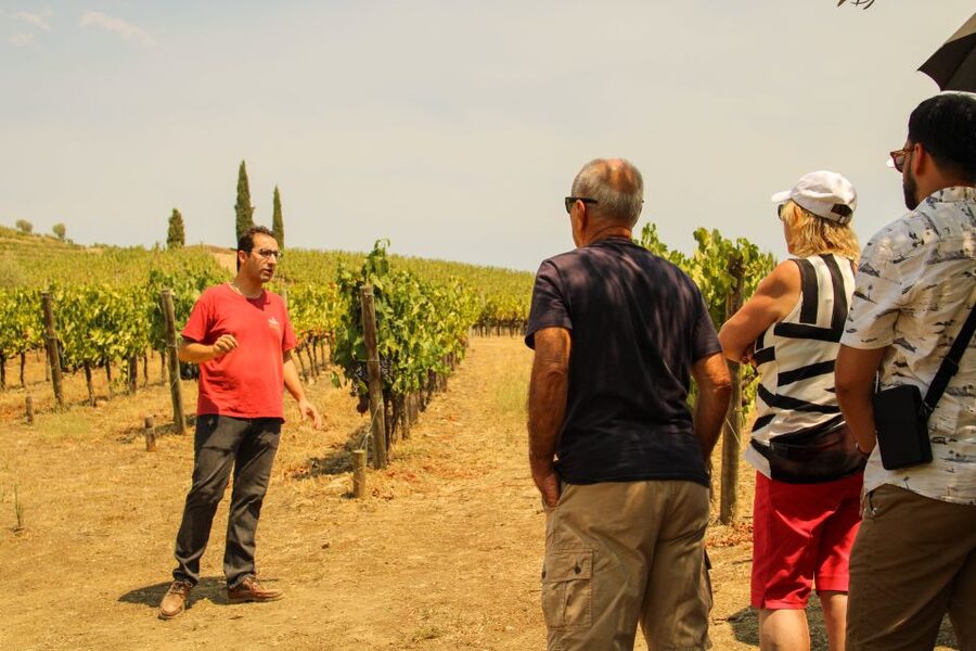 Porto: Douro Valley History & Wine Tour with Cruise & Lunch - Starting beside Porto Cathedral