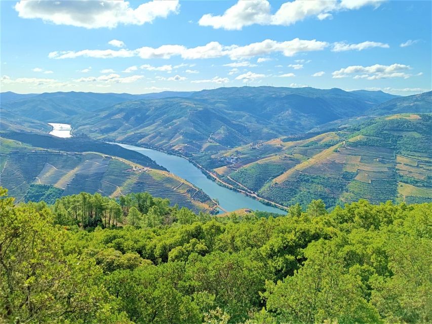 Porto: Douro Valley Private Grand Experience - Private - Who should book this day