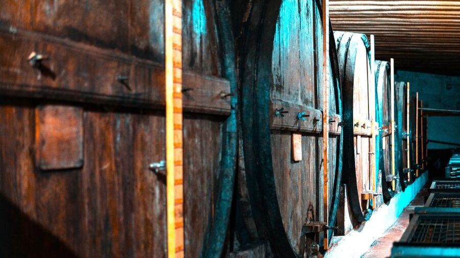 Porto: Douro Valley Private Grand Experience - Private - What the $318 price really covers