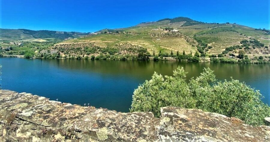 Porto: Douro Valley Private Tour 2 Vineyards & River Cruise - Who will get the most from this tour