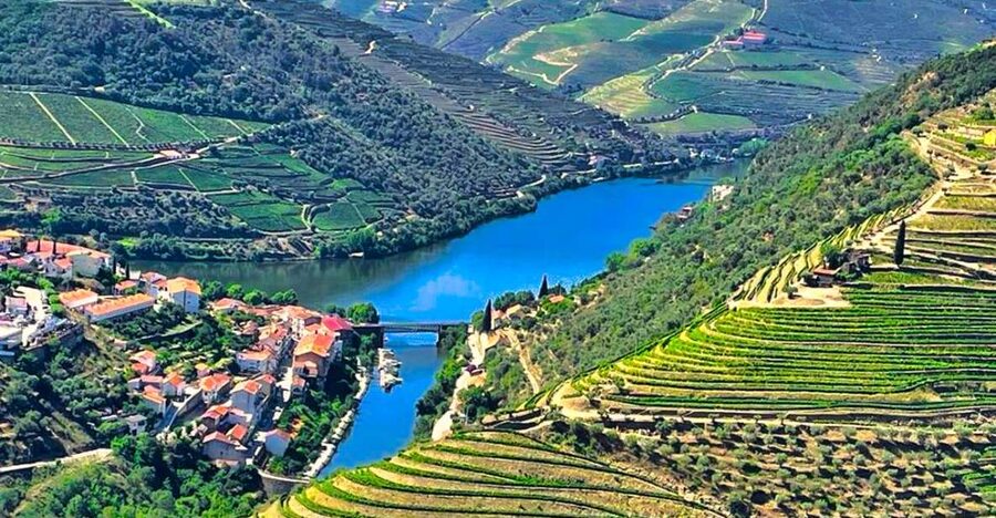 Porto: Douro Valley Private Tour 2 Vineyards & River Cruise - Why the Douro Valley makes a strong day trip from Porto