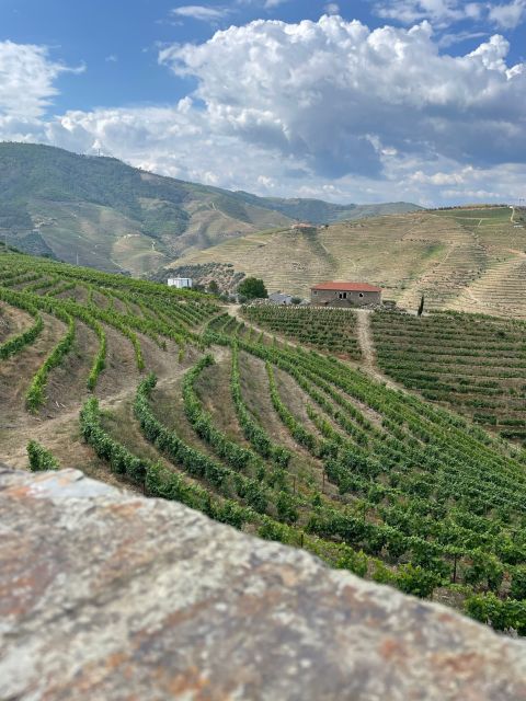Porto: Douro Valley Private Tour 2 Vineyards & River Cruise - Pinhão and the one-hour Douro River cruise