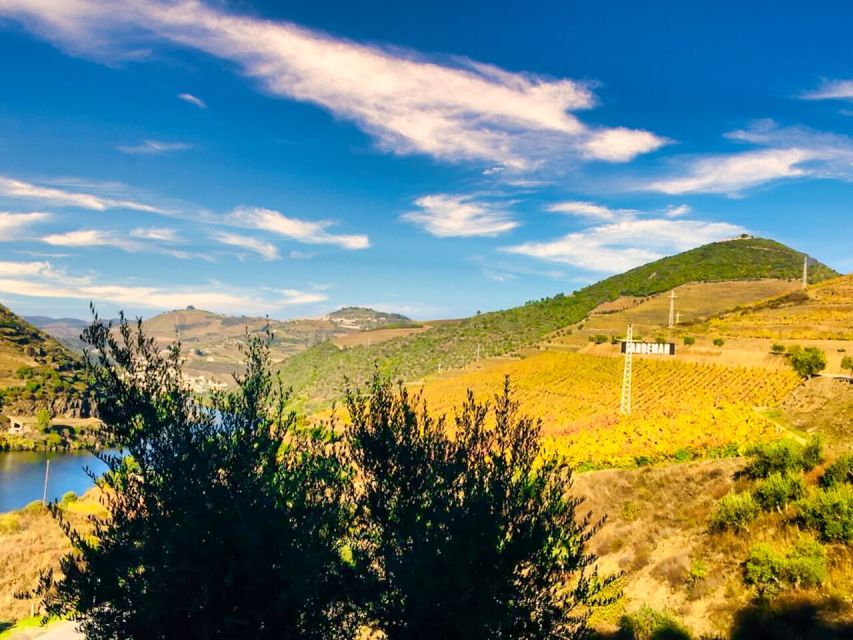 Porto: Douro Valley Private Tour 2 Vineyards & River Cruise - Lunch at a winery above the terraces