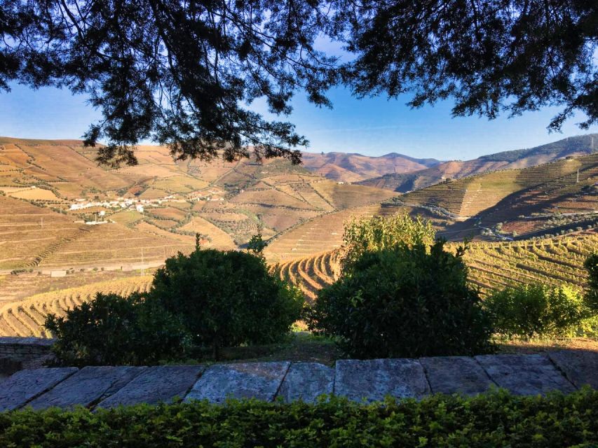 Porto: Douro Valley Private Tour 2 Vineyards & River Cruise - Scenic stops at São Cristovão do Douro