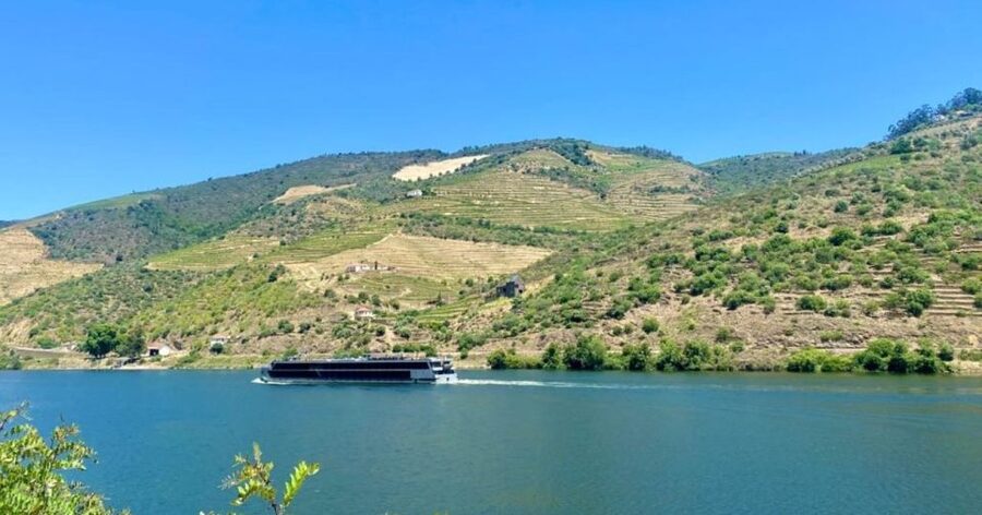 Porto: Douro Valley Private Tour 2 Vineyards & River Cruise - What the $577 private price means