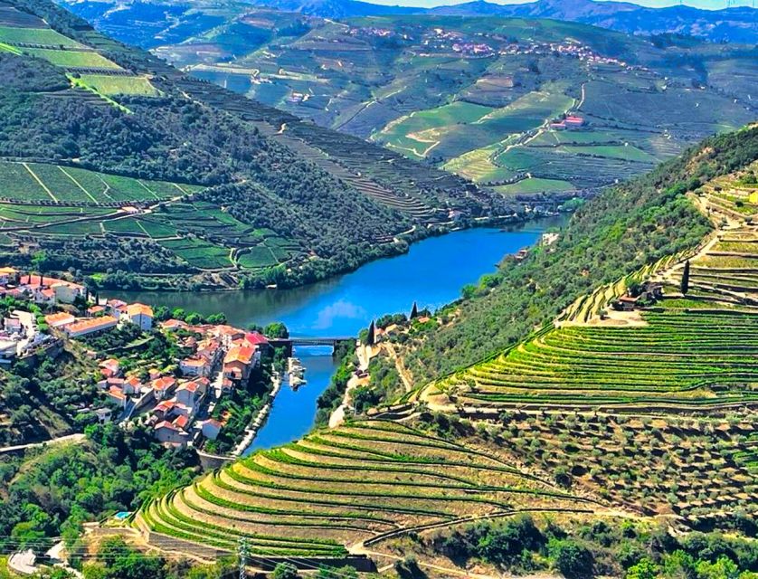 Porto: Douro Valley Private Tour 2 Vineyards & River Cruise - Leaving Porto for the N222