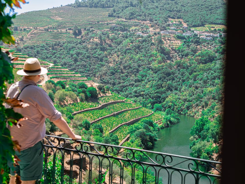 Porto: Douro Valley Private Tour, Tastings, Cruise & Lunch - São Leonardo Galafura and the Douro view