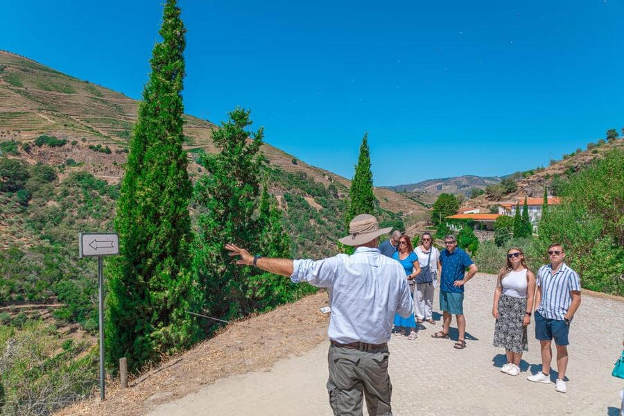 Porto: Douro Valley Private Tour, Tastings, Cruise & Lunch - What the private van and guide add