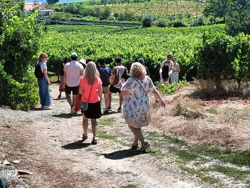 Porto: Douro Valley Tour at 2 Wineries with Lunch and Cruise - Why this Douro Valley tour works so well