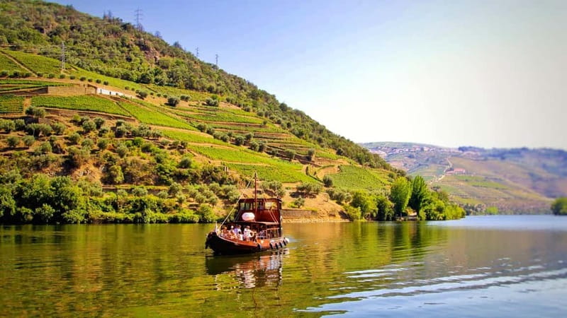 Porto: Douro Valley Tour at 2 Wineries with Lunch and Cruise - Régua and the changing shape of the river