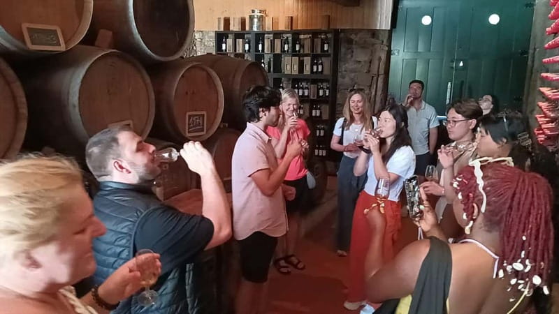 Porto: Douro Valley Tour at 2 Wineries with Lunch and Cruise - Vilarinho de São Romão and the second estate