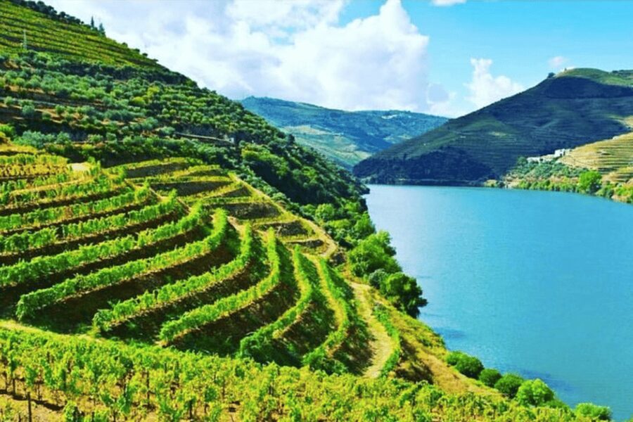 Porto: Douro Valley Tour w/ 3 Tastings, Lunch, & Opt. Cruise - Vineyard views and the first tasting