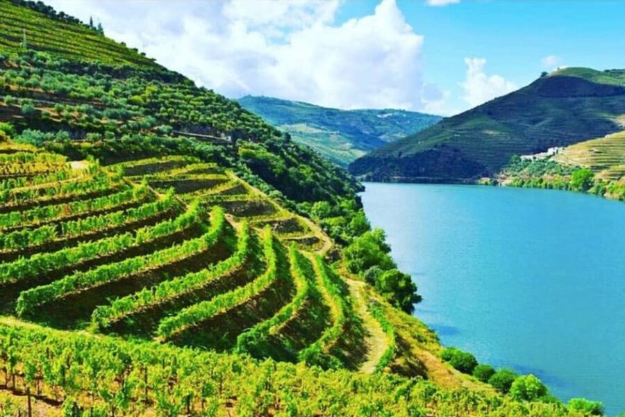 Porto: Douro Valley Tour w/ 3 Tastings, Lunch, & Opt. Cruise - Amarante adds Vinho Verde to the day
