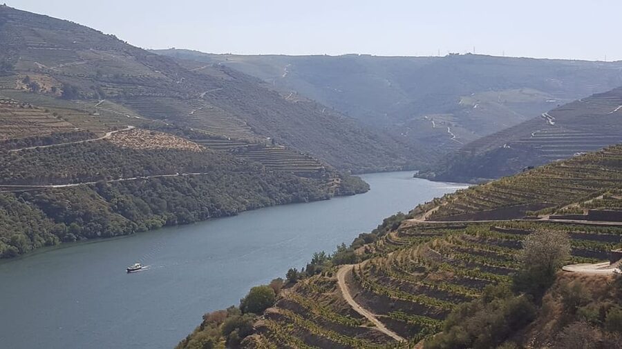 Porto: Douro Valley Tour W/ Wine Taste, Boat Cruise & Lunch - The guide can make or break a long day