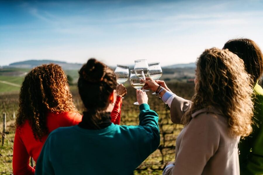 Porto: Douro Valley Tour with 2 Wineries, Lunch and Cruise - A first taste of the valley