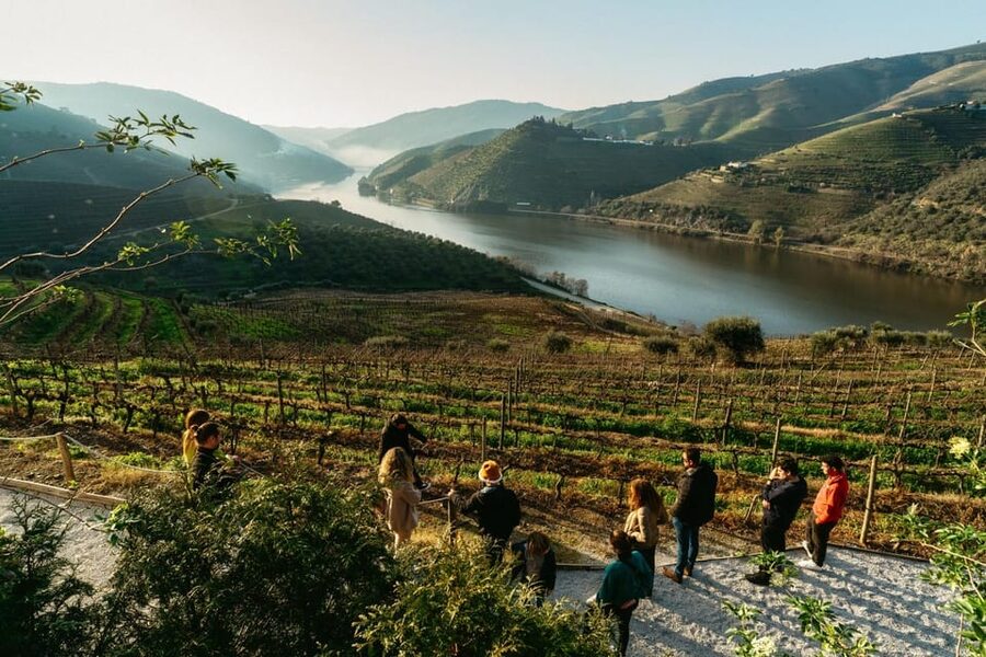 Porto: Douro Valley Tour with 2 Wineries, Lunch and Cruise - Miradouro São Cristóvão and the best photo stop