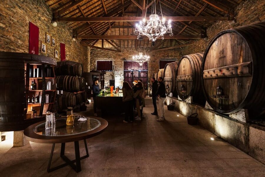 Porto: Douro Valley Tour with 2 Wineries, Lunch and Cruise - What the $117 price really includes