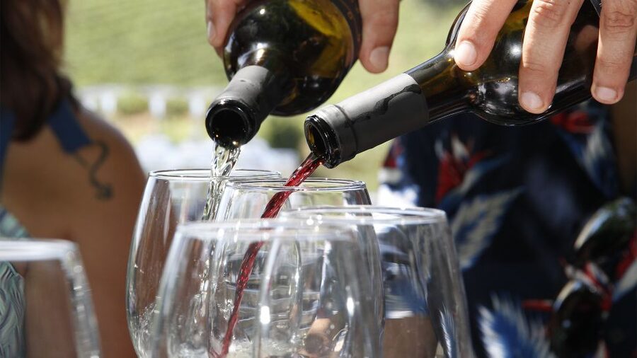Porto: Douro Valley Tour with 3 vineyards and lunch. - Key points at a glance