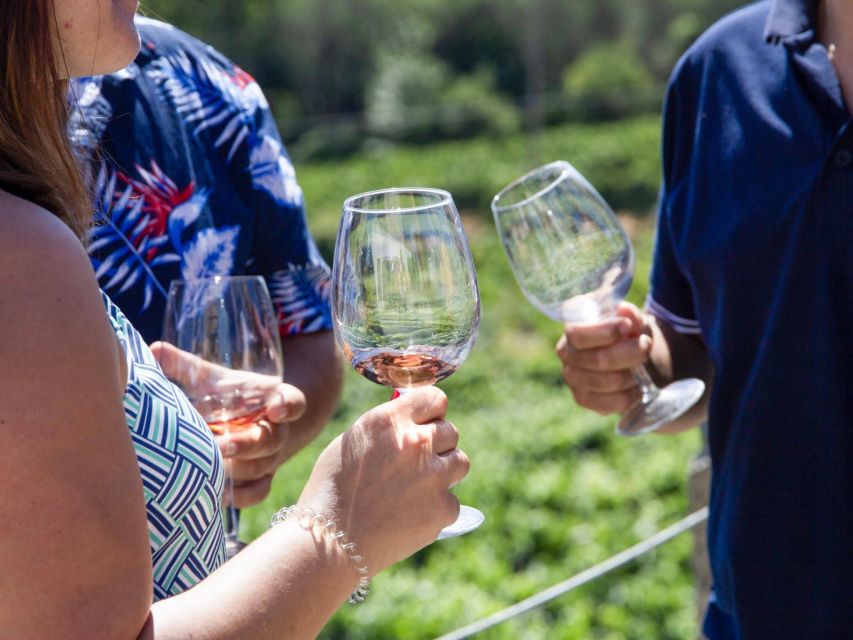 Porto: Douro Valley Tour with 3 vineyards and lunch. - Who should book this Douro Valley tour?
