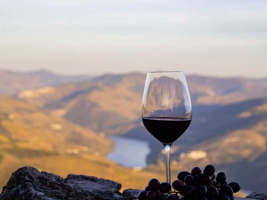 Porto: Douro Valley Tour with 3 vineyards and lunch. - Lunch in Sabrosa, with wine country on the table