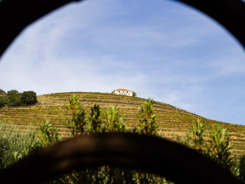 Porto: Douro Valley Tour with 3 vineyards and lunch. - The return to Porto takes patience