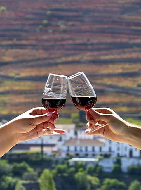 Porto: Douro Valley Tour with 3 vineyards and lunch. - Is $147 good value?