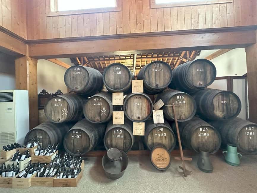 Porto: Douro Valley Tour with 3 vineyards and lunch. - The road to the Douro River viewpoint