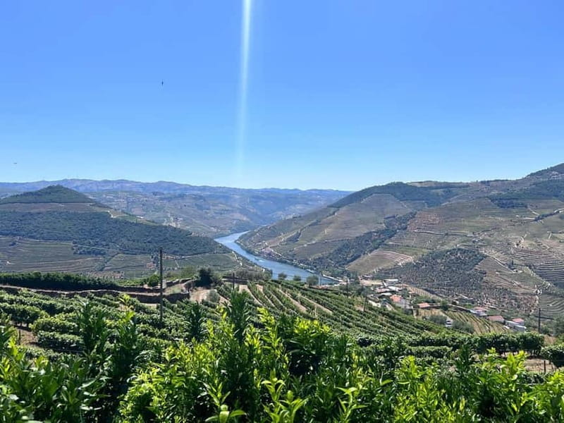 Porto: Douro Valley Tour with 3 Wineries and Lunch - Why three wineries make sense in one day