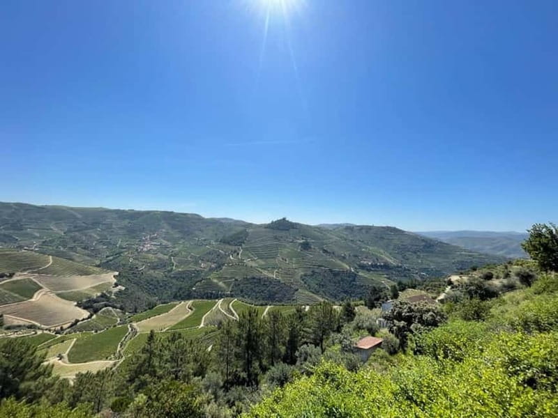Porto: Douro Valley Tour with 3 Wineries and Lunch - What the guides add