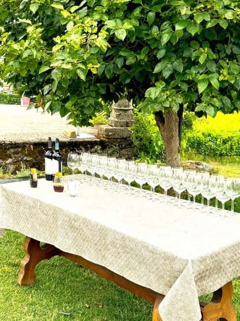 Porto: Douro Valley Tour with 3 Wineries and Lunch - Leaving Trindade for the Douro