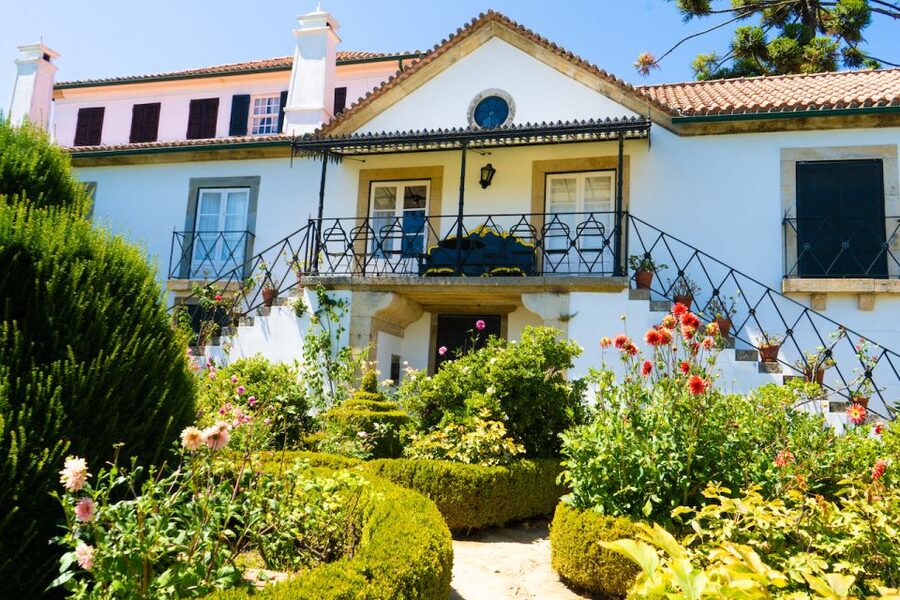 Porto: Douro Valley Tour with Lunch, Boat Cruise & Tastings - How good is the value at $82?
