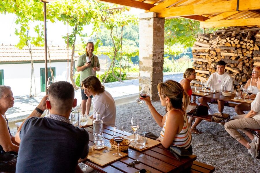 Porto: Douro Valley Tour with Lunch, Boat Cruise & Tastings - Inside the Douro’s first wine cooperative