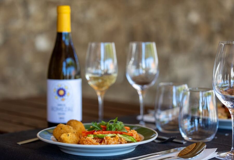 Porto: Douro Valley Tour with Lunch, Boat Cruise & Tastings - Cruising the Douro near Pinhão